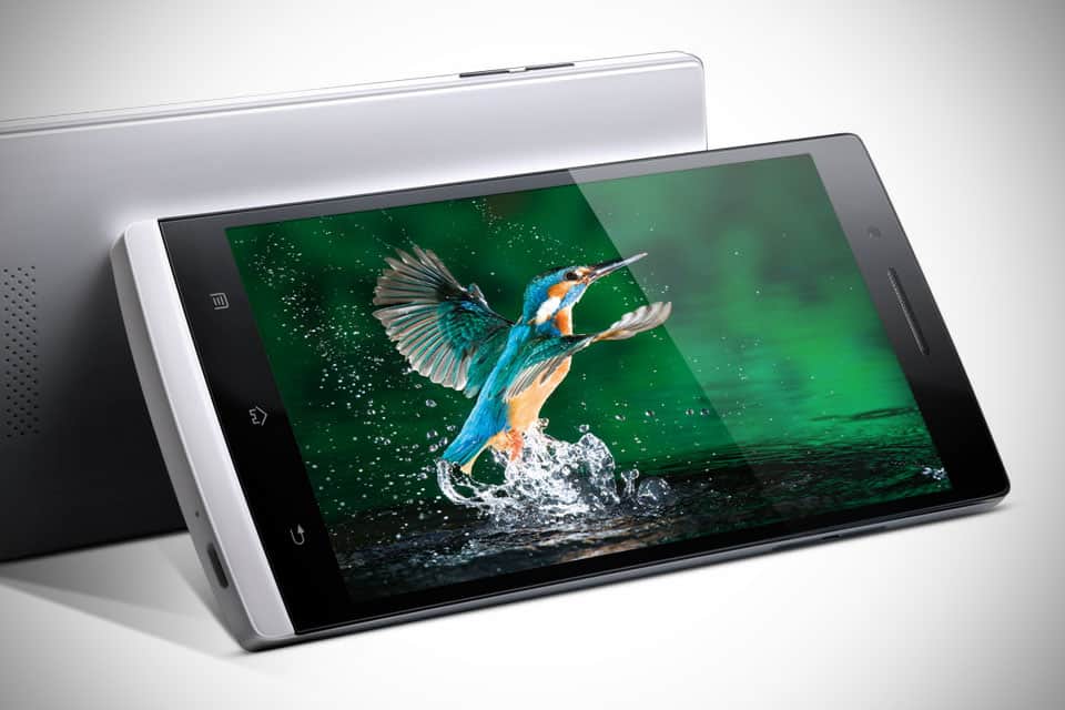 Removable battery phone