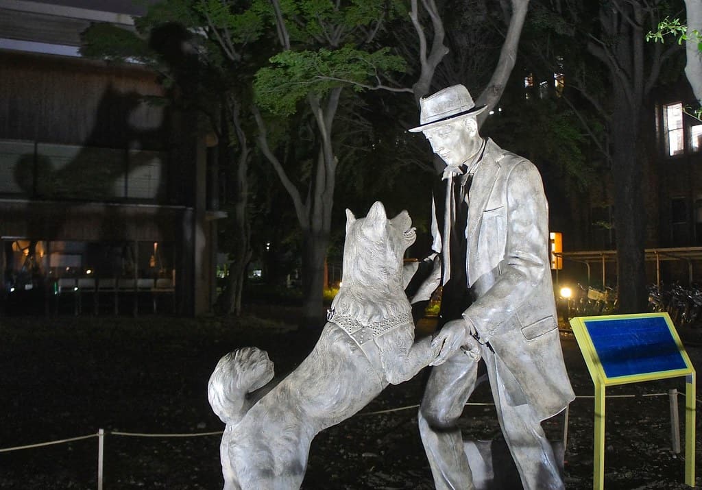 The touching story of Hachiko the world's most loyal dog!